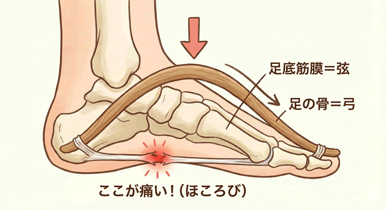 患者様に知っておいて欲しい知識